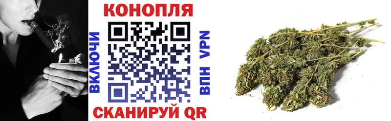 где купить наркоту  Куртамыш  blacksprut ТОР  Марихуана ГИДРОПОН 